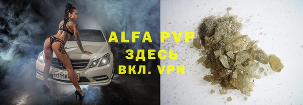 шишки Богородицк