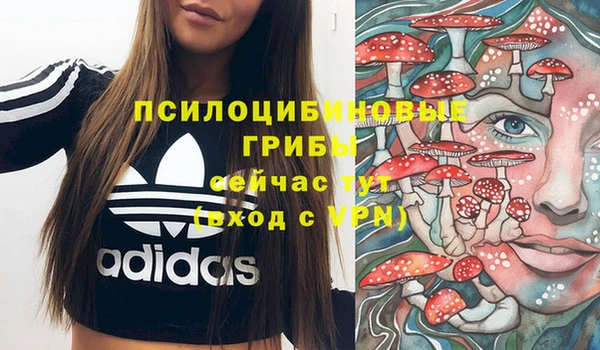 метадон Аркадак